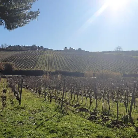 Il Cuore Di Casciana Bed & Breakfast Lari