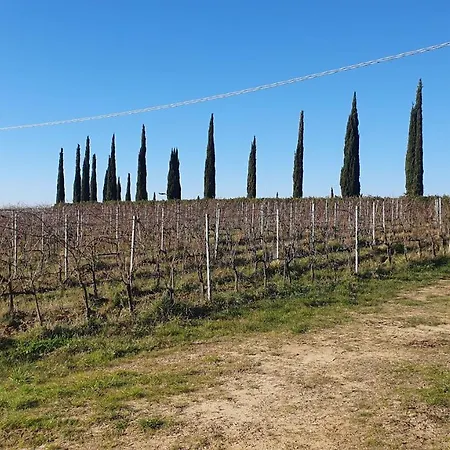 Il Cuore Di Casciana * Lari