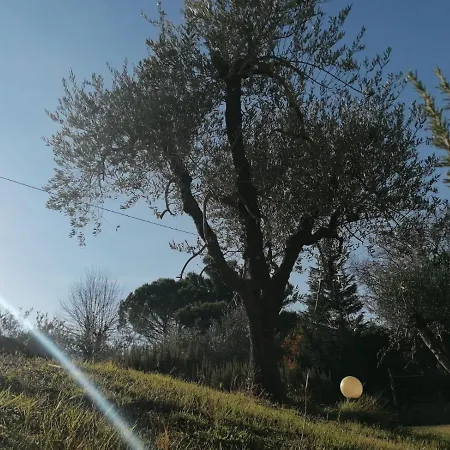 Bed & Breakfast Il Cuore Di Casciana Lari