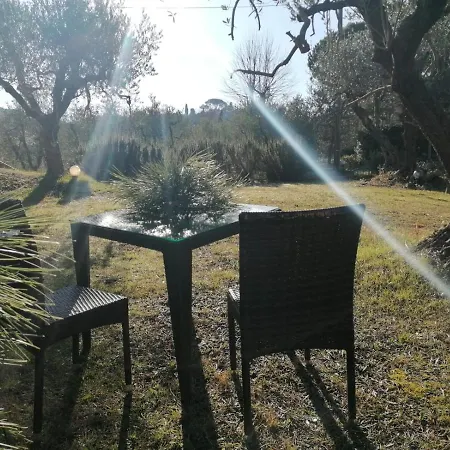 Il Cuore Di Casciana Bed & Breakfast *