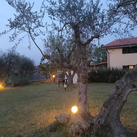 Il Cuore Di Casciana Bed & Breakfast *